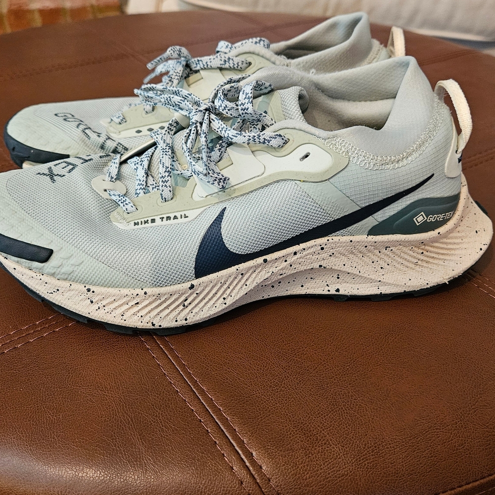 Nike Pegasus GoreTex